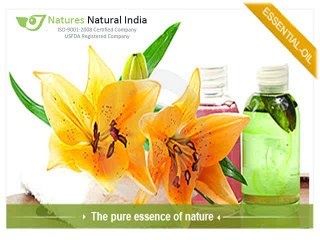 Explore a Premium Array with various types of Pure Essential Oils at Naturesnatuiralindia.com!