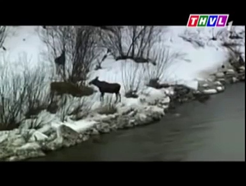 Donald Trump  Presidential Election Candidate  (154)