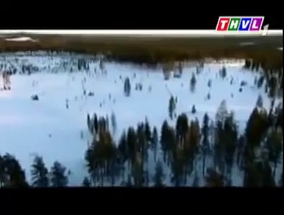 Donald Trump  Presidential Election Candidate  (155)