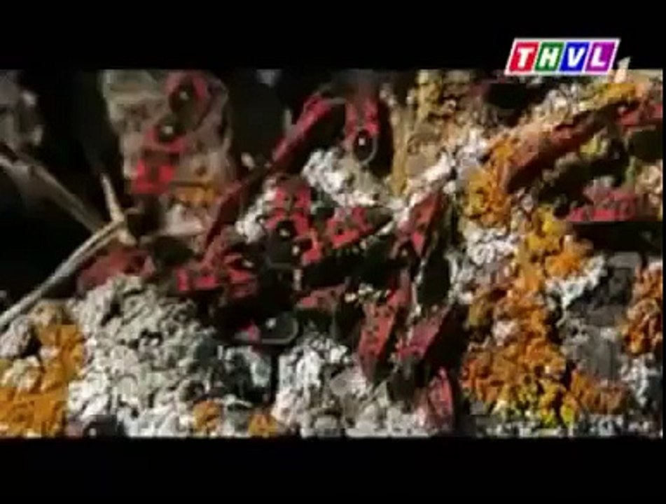 Donald Trump  Presidential Election Candidate  (157)