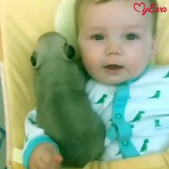 The cute activities of babies