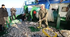 Piraziz Su Ürünleri Kooperatifi Başkanı: Karadeniz'de Balık Avı Bir Yıl Yasaklanmalı