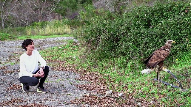 Anuncio publicitario Fiat 124 Spider. Libre como un pájaro