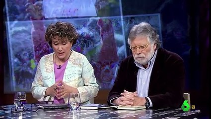 Joaquín Estefanía   ¿Estamos construyendo una generación de futuros yihadistas