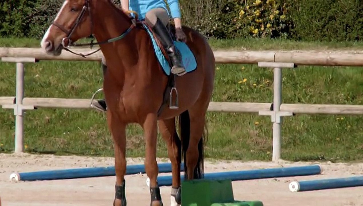 galop 2 parcours type