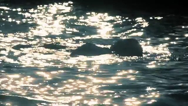 FEAR THE WALKING DEAD Season 2 Episode 4 TRAILER & PREVIEW CLIP (2016) amc Series