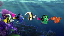 Finger Family Finding Nemo | Daddy Finger Family Nursery Rhymes Songs For Children