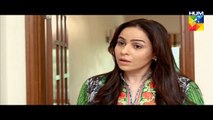 Lagao Episode 30 Full Hum TV Drama 26 April 2016