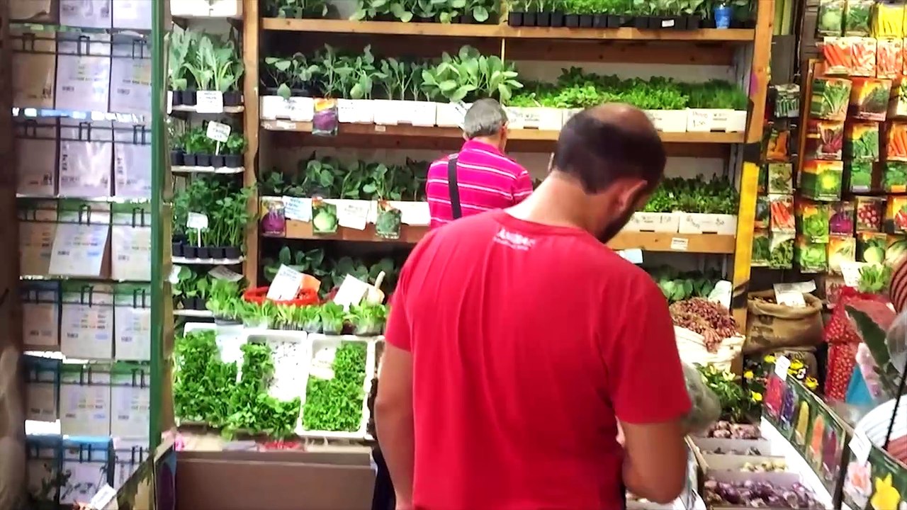 ATHEN 2015 | PUMMIES