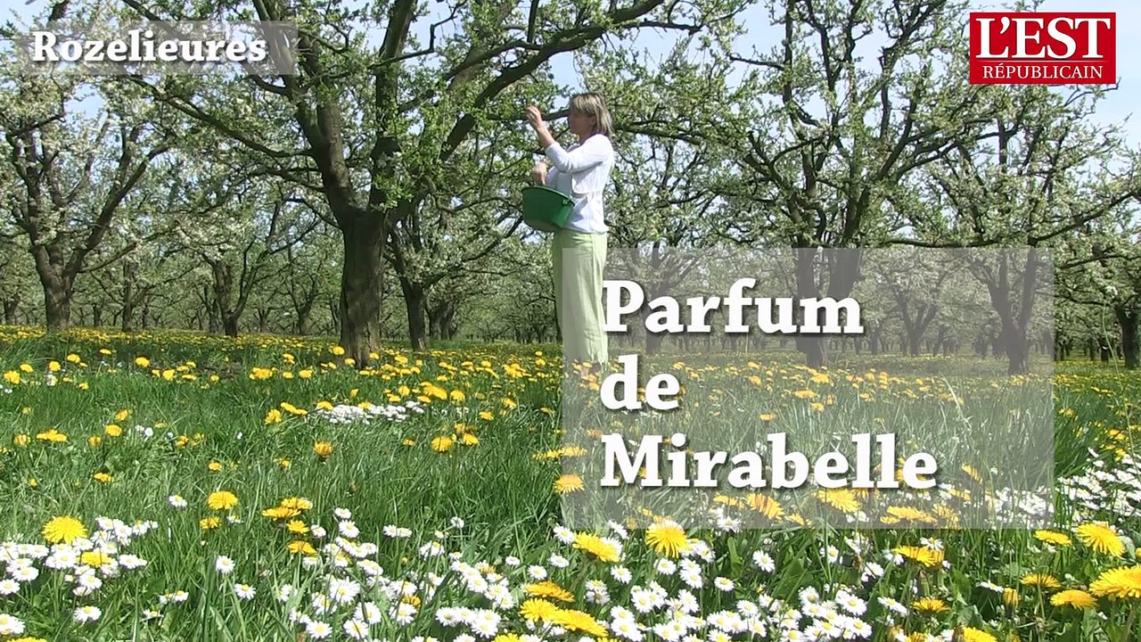 Rozelieures : parfum de mirabelle