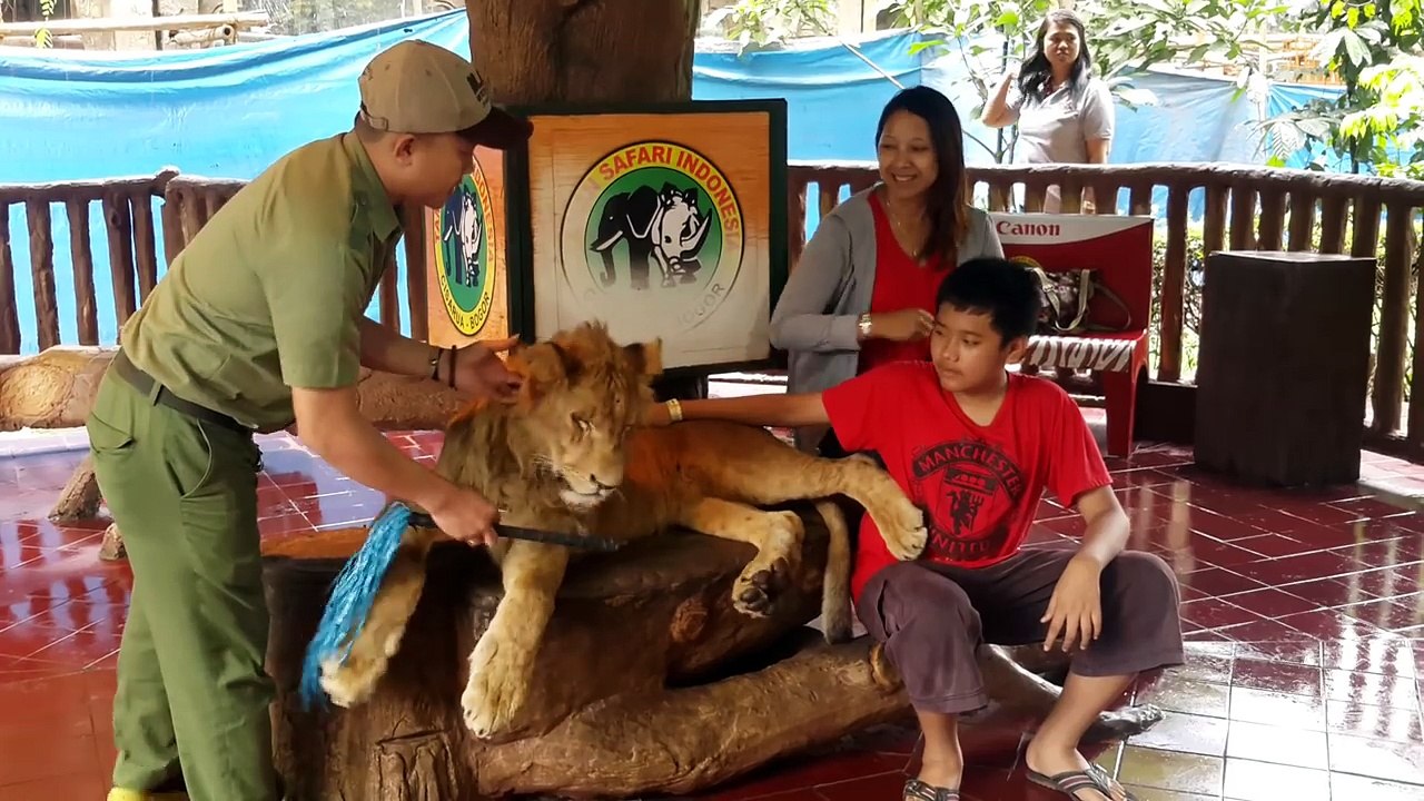 While they pose for a photo, the lion’s head drops. The reason behind it is horrifying.