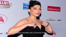 Kanika Kapoor HOT Cleavage | Hello Hall Of Fame Awards 2016