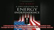 FREE EBOOK ONLINE  A Declaration of Energy Independence How Freedom from Foreign Oil Can Improve National Full Free