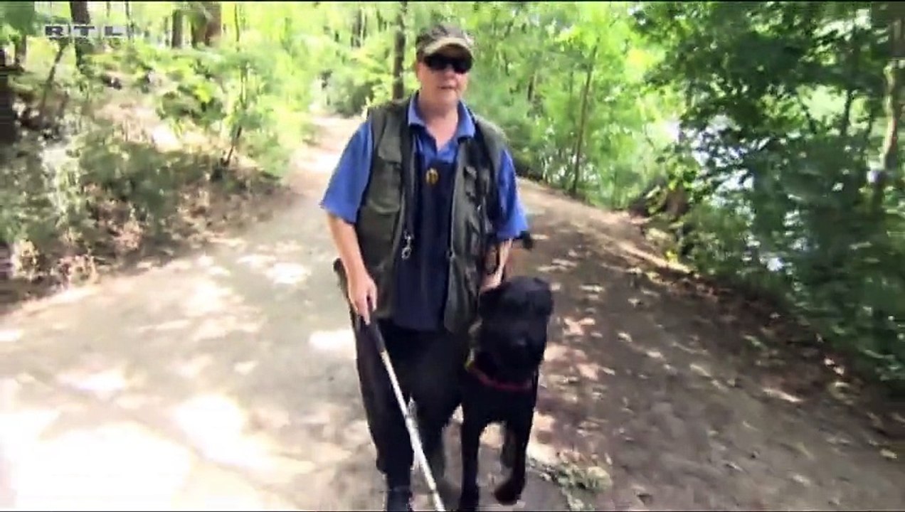 Gewalttätige hundegegner am schlachtensee