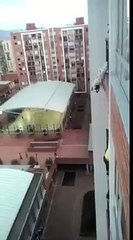 Il se suspend au dessus de 13 étages et risque sa vie pour celle d'un animal en danger !