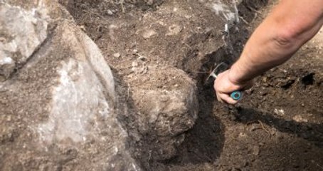 4800 Yıllık Bölgenin En Eski Fosili Ortaya Çıktı