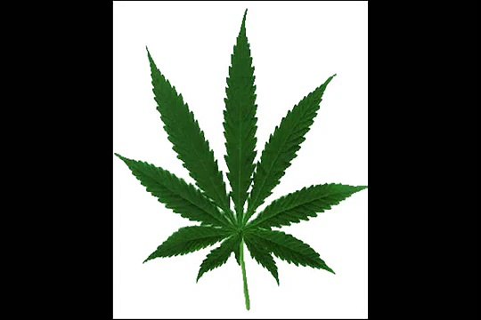 smoke weed everyday Rasmus Hedegaard Remix