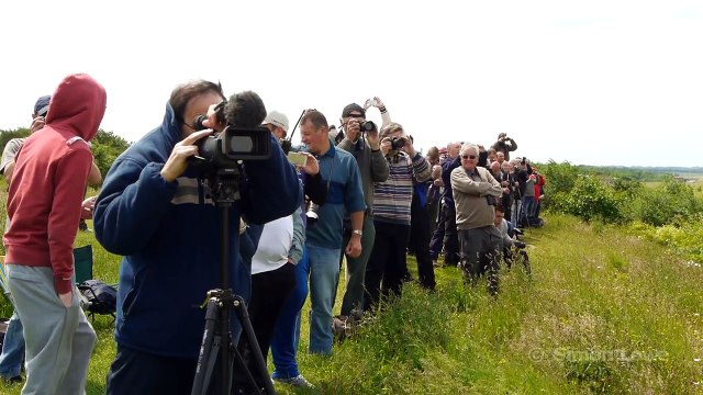 O maior avião de carga do mundo a levantar voo