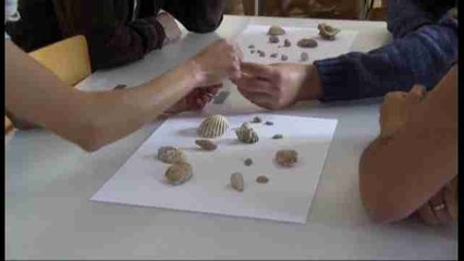 Los fósiles de Fuerteventura, una maravilla arrojada por sus volcanes