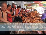 Dog & Cat Meat Festival In China – Say No To Dog Meat!