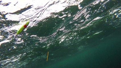 How Lures Swim: Bomber Badonk-a-Donk