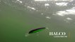 How Lures Swim: Halco Laser Pro 190