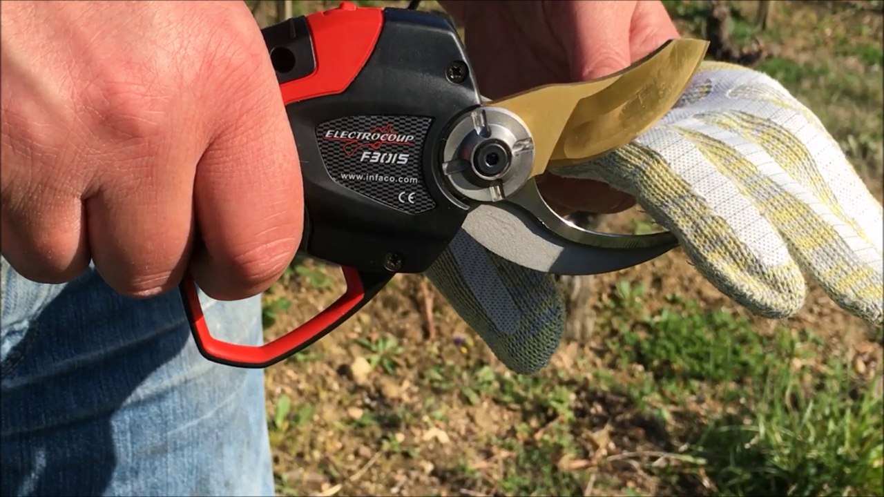 INFACO ELECTROCOUP F3015 DSES IT