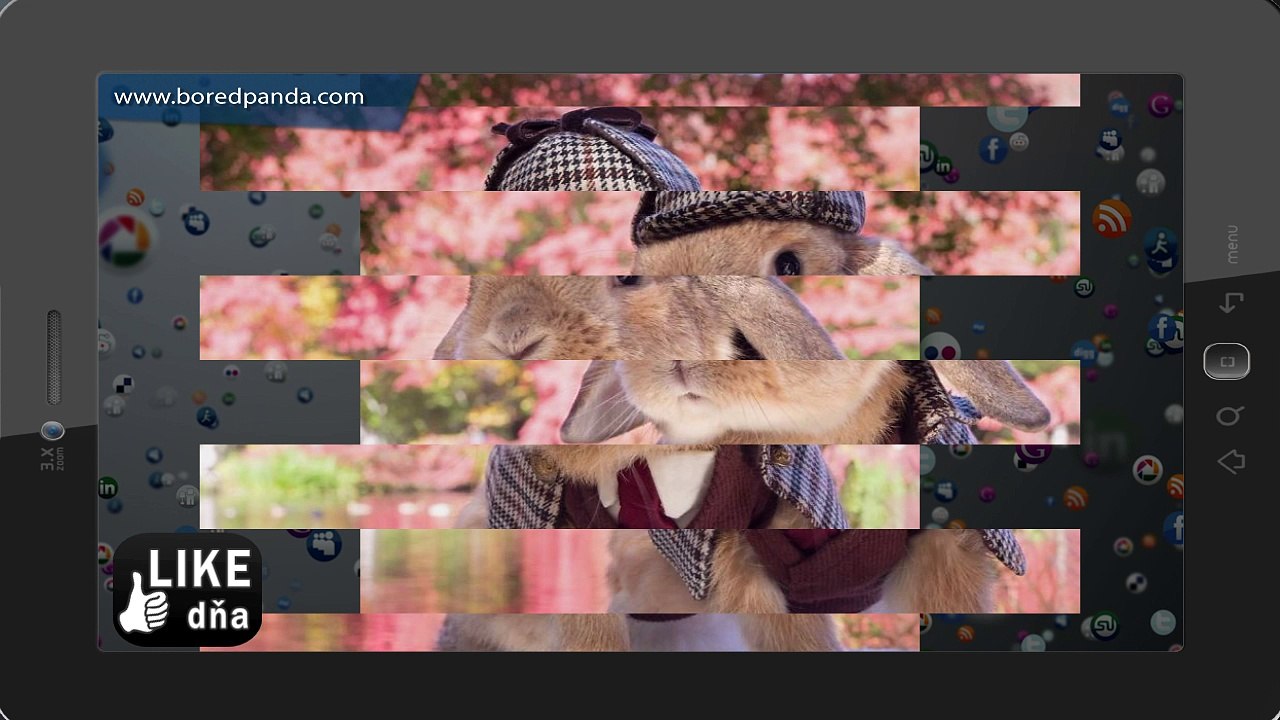 LIKE DŇA: Najštýlovejší zajac