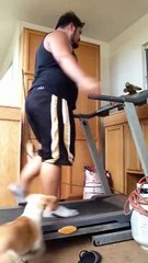 Собака мешает тренироваться