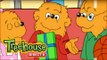 The Berenstain Bears: The Birthday Boy/The Green-Eyed Monster - Ep.10