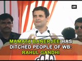 Mamata Banerjee has ditched people of WB Rahul Gandhi