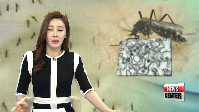 Korea confirms second zika infection