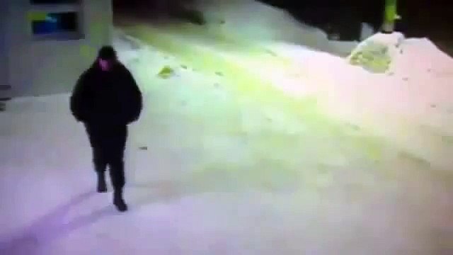 Добрый мужик показал дорогу коту