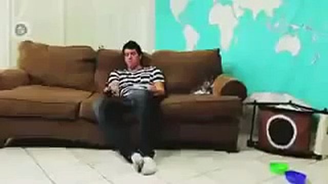 Кот изображает хозяина) Прикол!