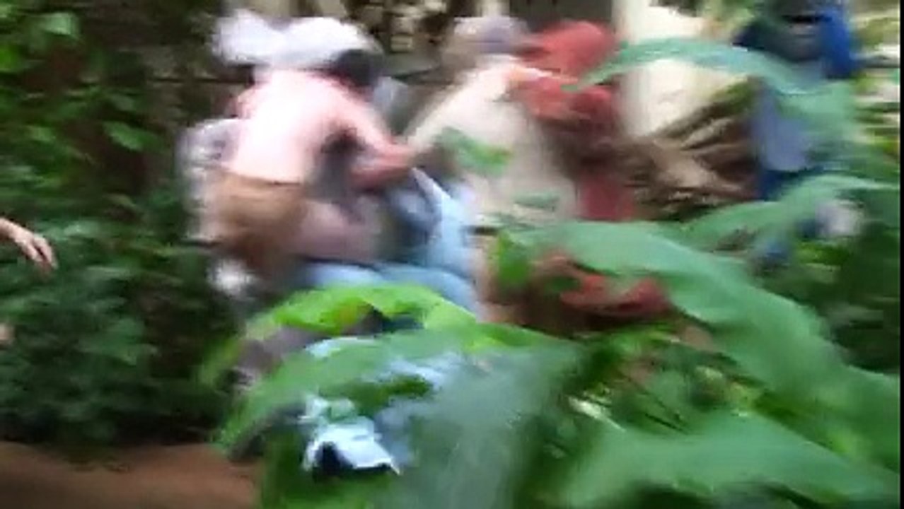 Ο Ρεμί ντύθηκε Ταρζάν και φώναξε τους φίλους του!