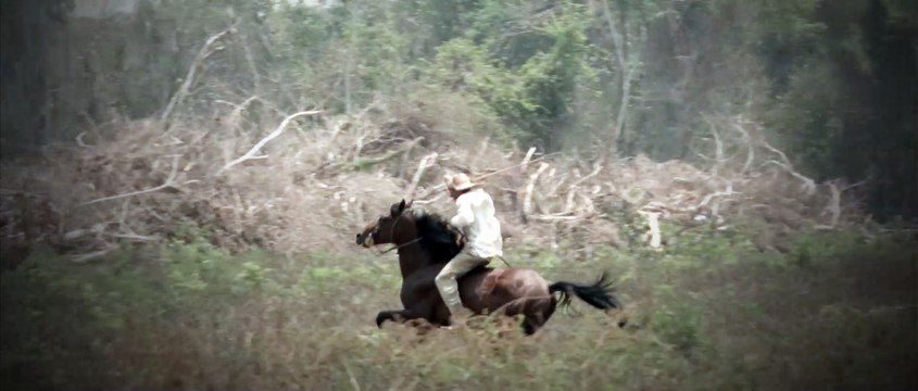 Tenemos las planillas ahora la tarea es nuestra