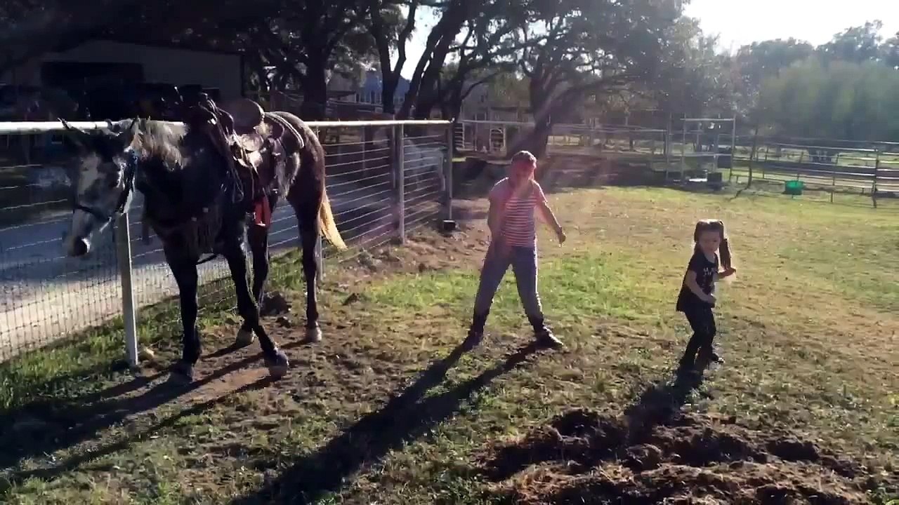 Un cheval improvise une chorégraphie avec deux fillettes !