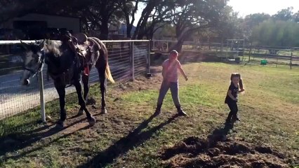 Un cheval improvise une chorégraphie avec deux fillettes !