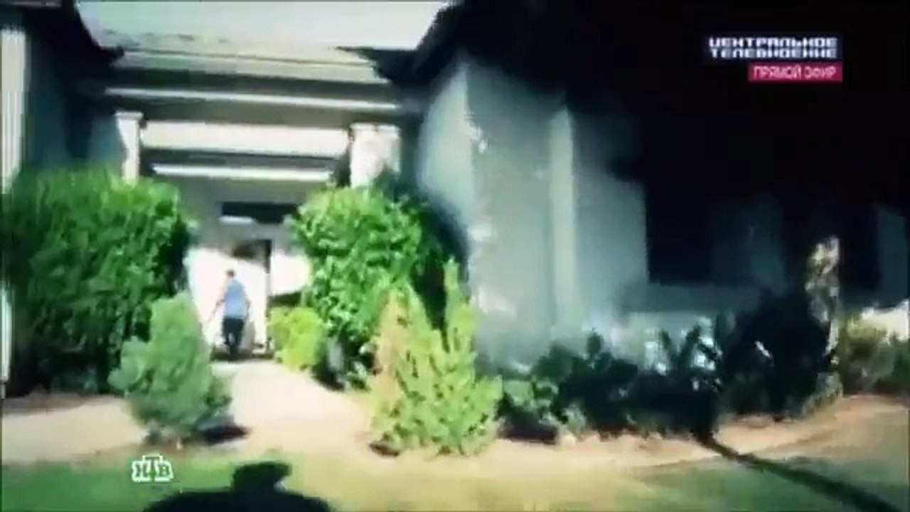 Кошка Спасает Ребенка От Собаки