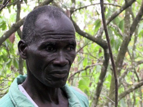 Côte d'Ivoire: l'école pour éradiquer le travail des enfants