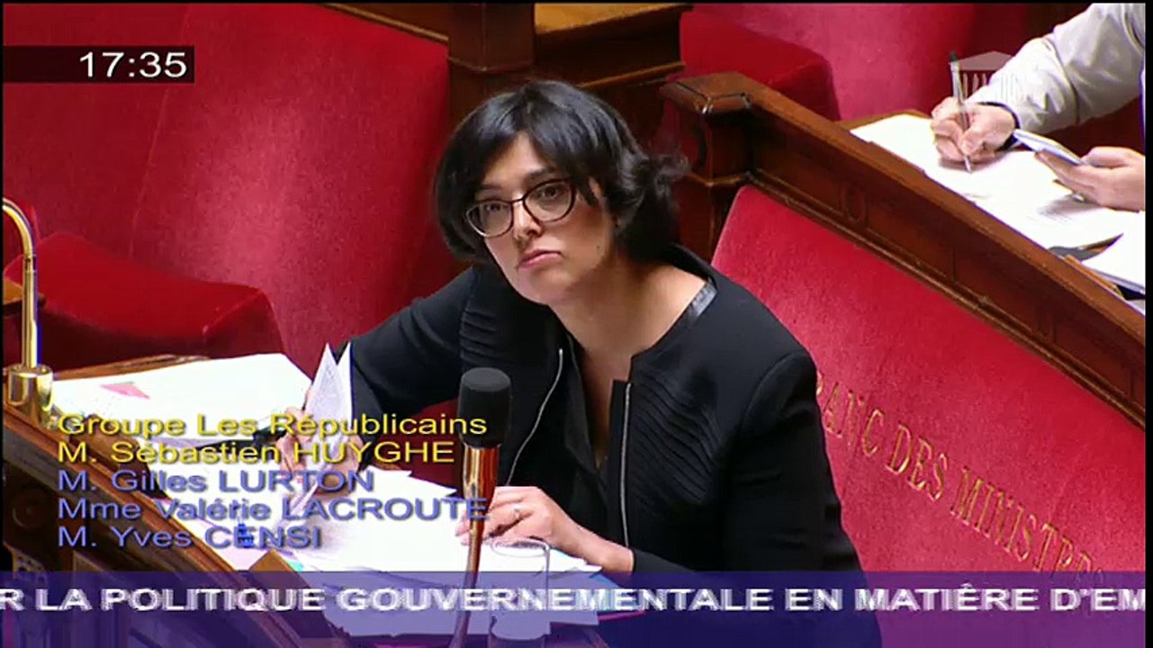 Sébastien Huyghe interroge Myriam El Khomri sur la politique du gouvernement en matière d'appentissage