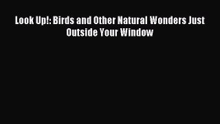 Read Look Up!: Birds and Other Natural Wonders Just Outside Your Window Ebook Free