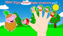 Pepa Pig Fruits Finger Family Nursery Rhymes and More Lyrics