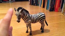 Animal Facts! Episode 11! Grevy's Zebras!