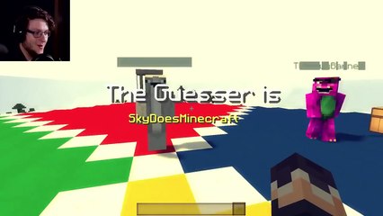 Minecraft TWO TRUTHS AND ONE LIE! ~ SkyDoesMinecraft