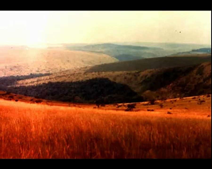 tsamba magotsi muaye