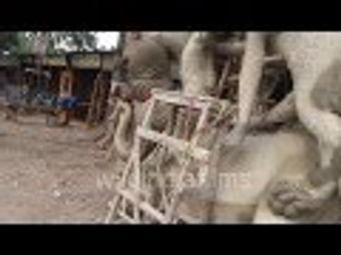 How Indian Potter Making Painting On Idol Of Goddess jagadhatri Roadside : wildindiafilms