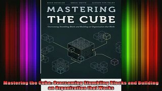 EBOOK ONLINE  Mastering the Cube Overcoming Stumbling Blocks and Building an Organization that Works READ ONLINE