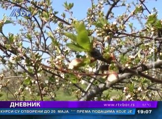 Dnevnik, 27. april 2016. (RTV Bor)