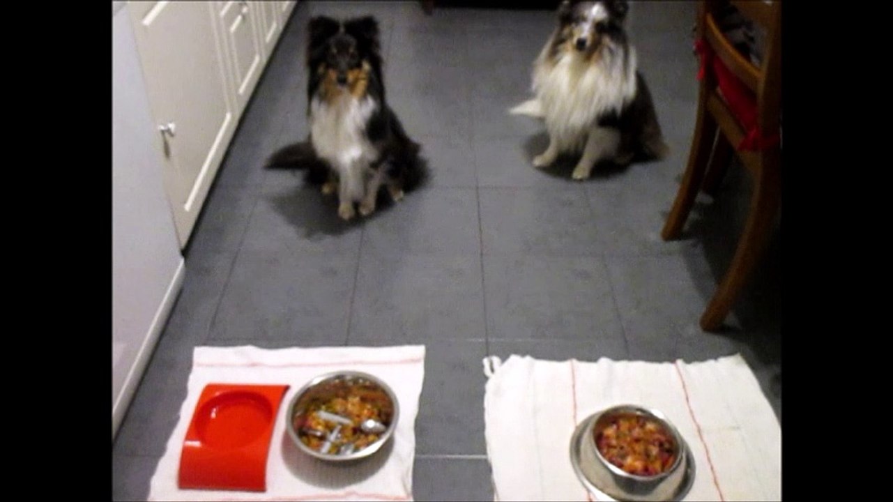 2016.02.26 - une gamelle bien nettoyée